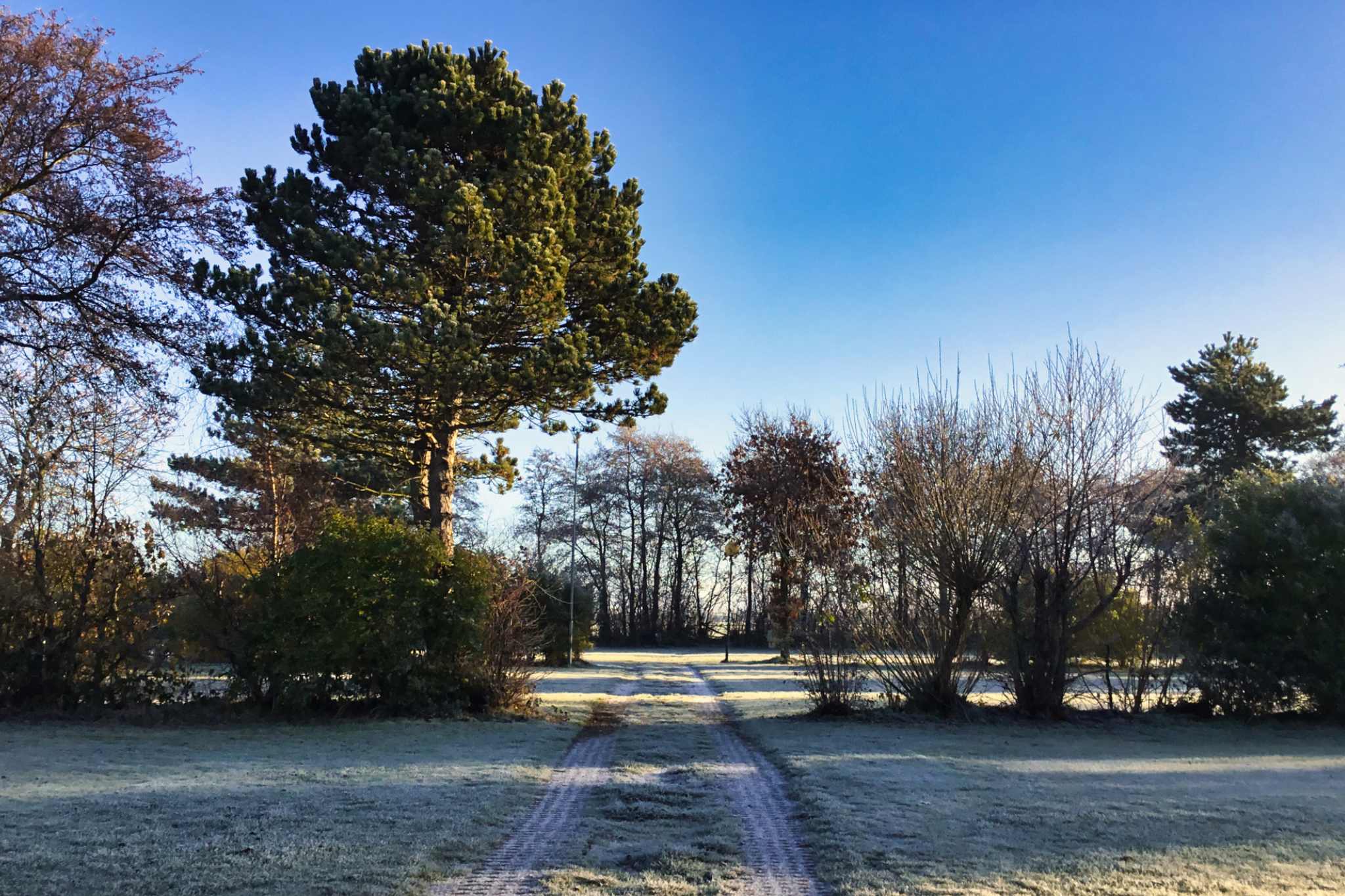 Nouvel an sans pétards De Nollen Wintercamping
