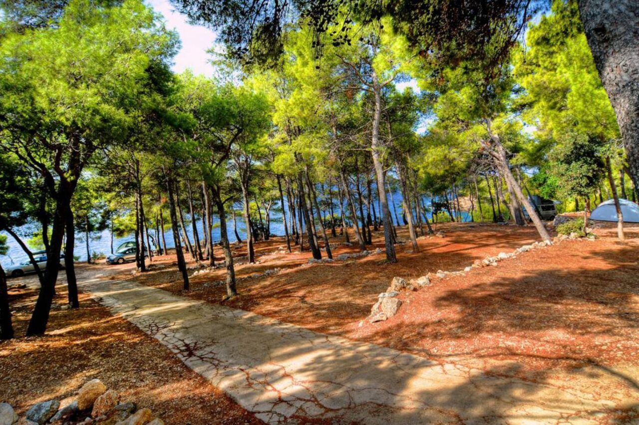 Campings en Dalmatie - Un endroit magnifique au milieu des pins et directement au bord de la mer. © camping.info