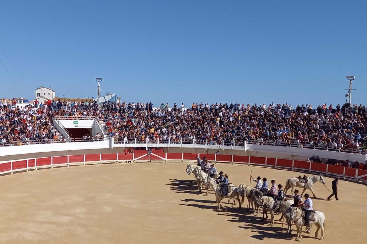 Camargue Camping - Arena