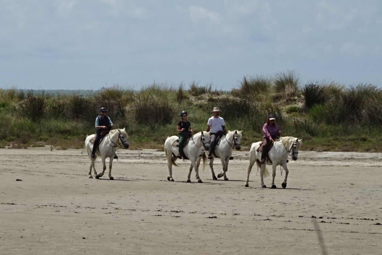 Camargue Camping - Chevaux