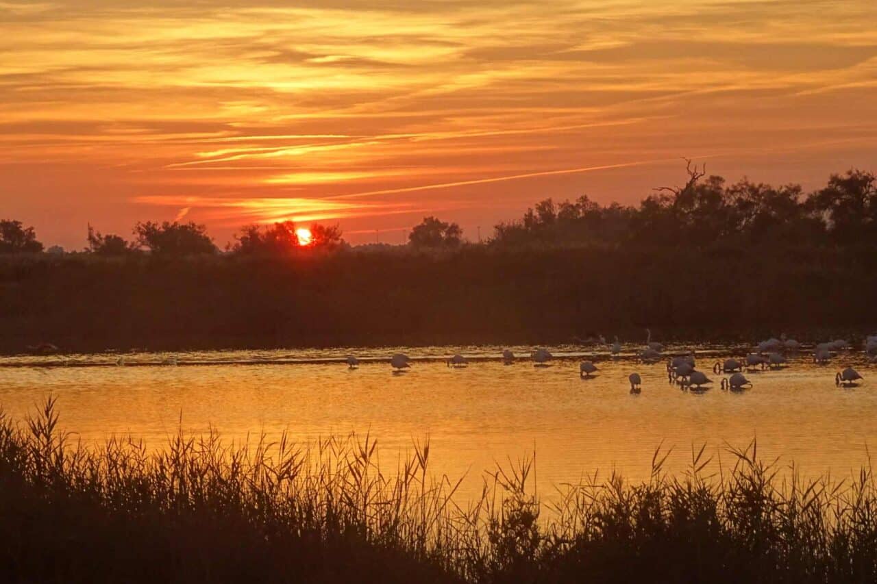 Camargue Camping - Coucher de soleil