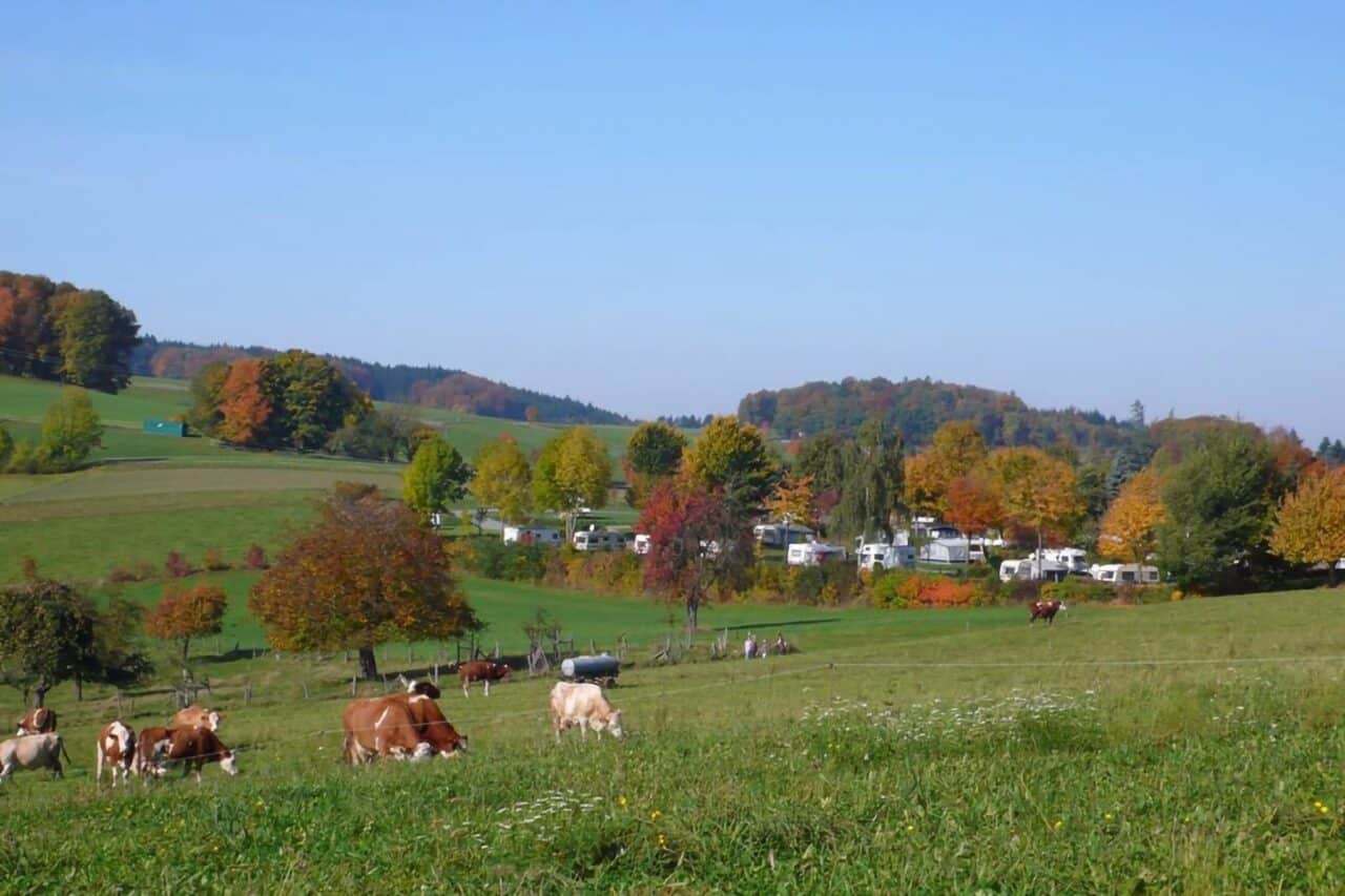 camping park hammelbach 1