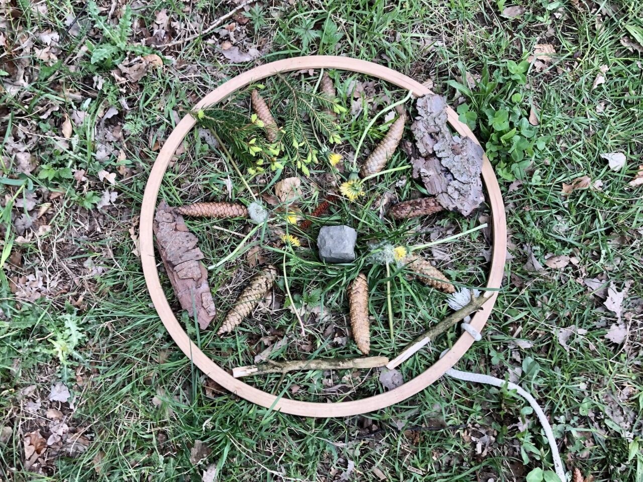 Mandala de la forêt lors d'une olympiade de la forêt comme jeu pour enfants